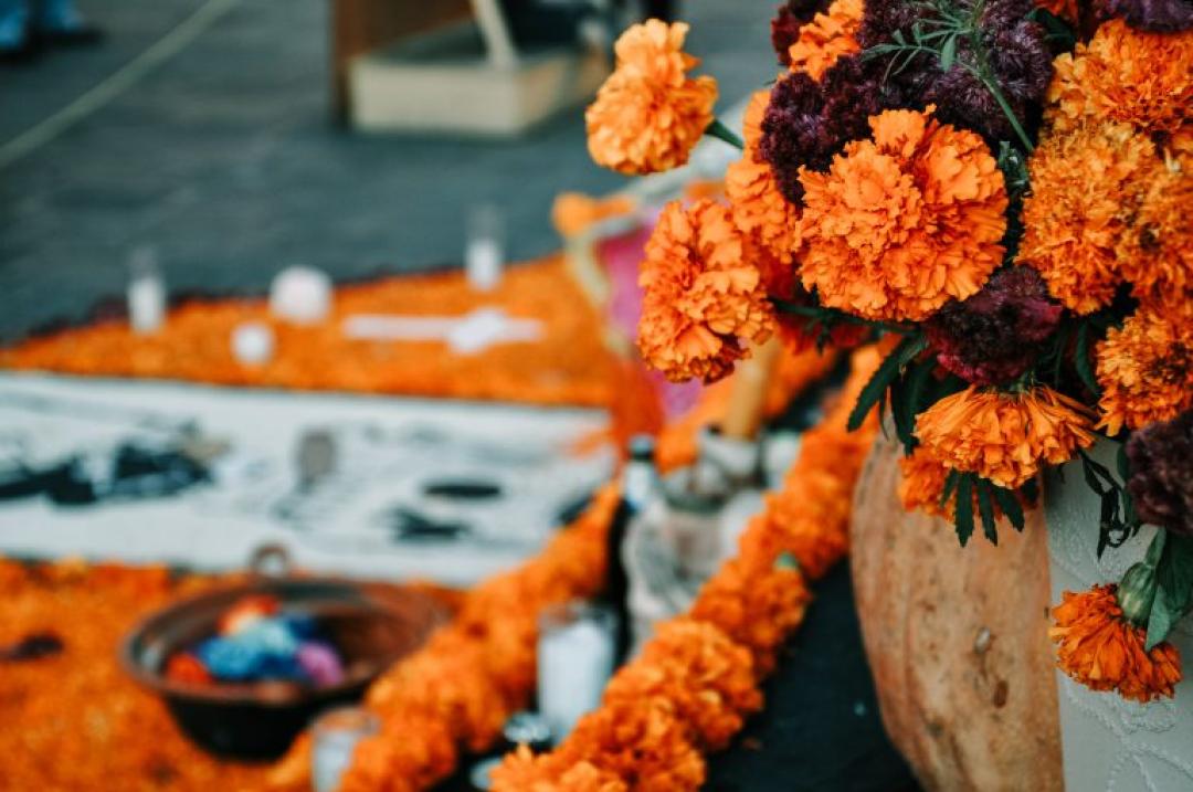 COCO DÍA DE MUERTOS Y CATRINAS
